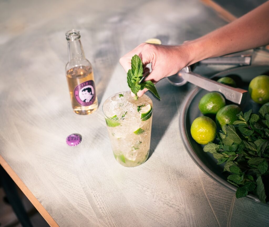 Virgin Mojito im Highballglas mit Thomas Henry Ginger Ale Rezeptbild